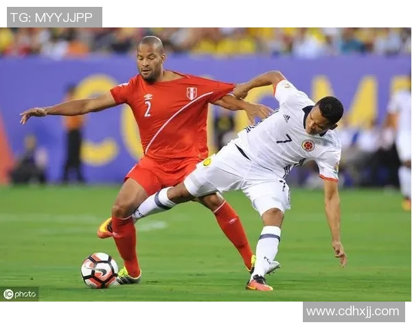 新西兰与秘鲁精彩对决视频直播全程回顾与分析