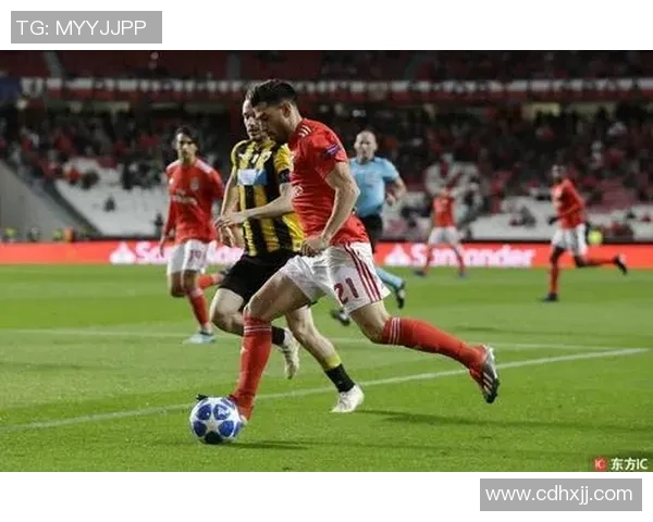 本菲卡对阵雅典AEK精彩数据直播全程跟踪分析